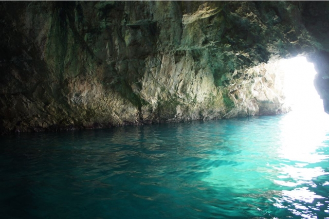 architetture della natura